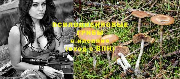 2c-b Елабуга