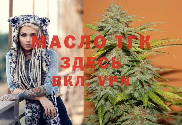 спайс Ельня