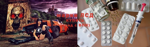 спайс Ельня