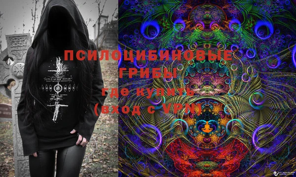 2c-b Елабуга