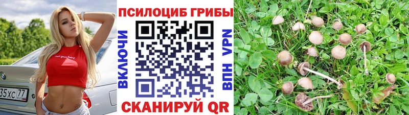 Галлюциногенные грибы Cubensis  Сорск 